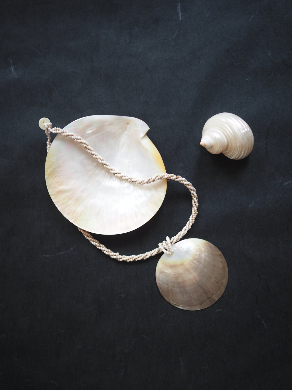 Shell Pendant Necklace