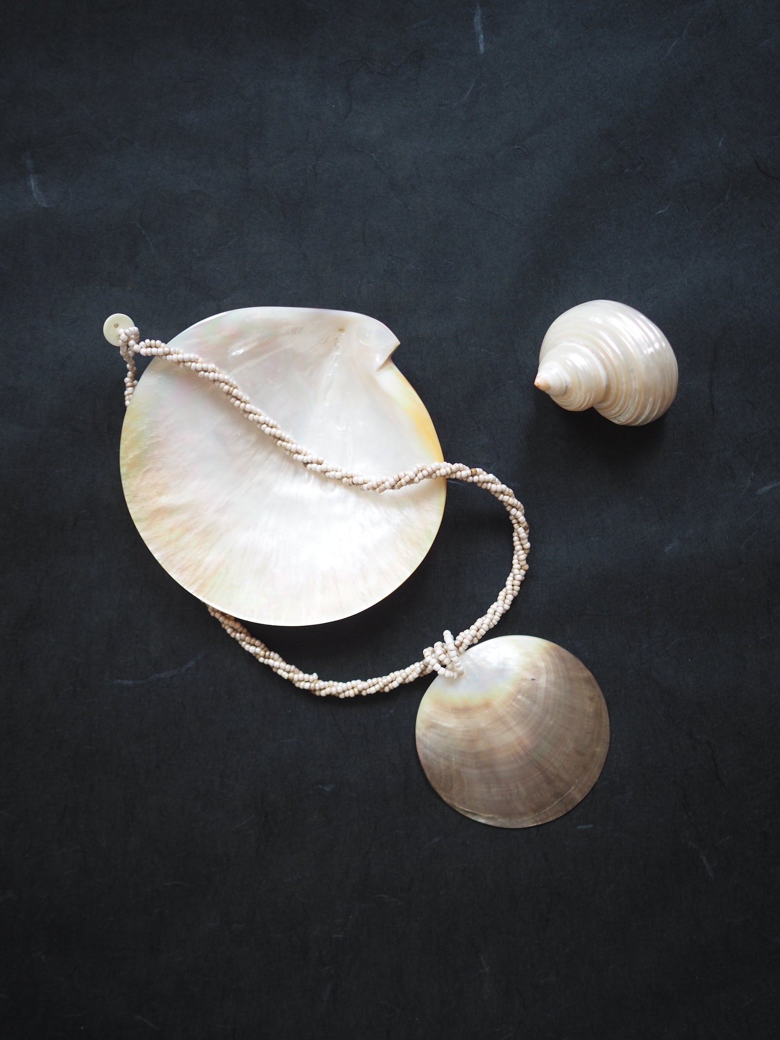 Shell Pendant Necklace