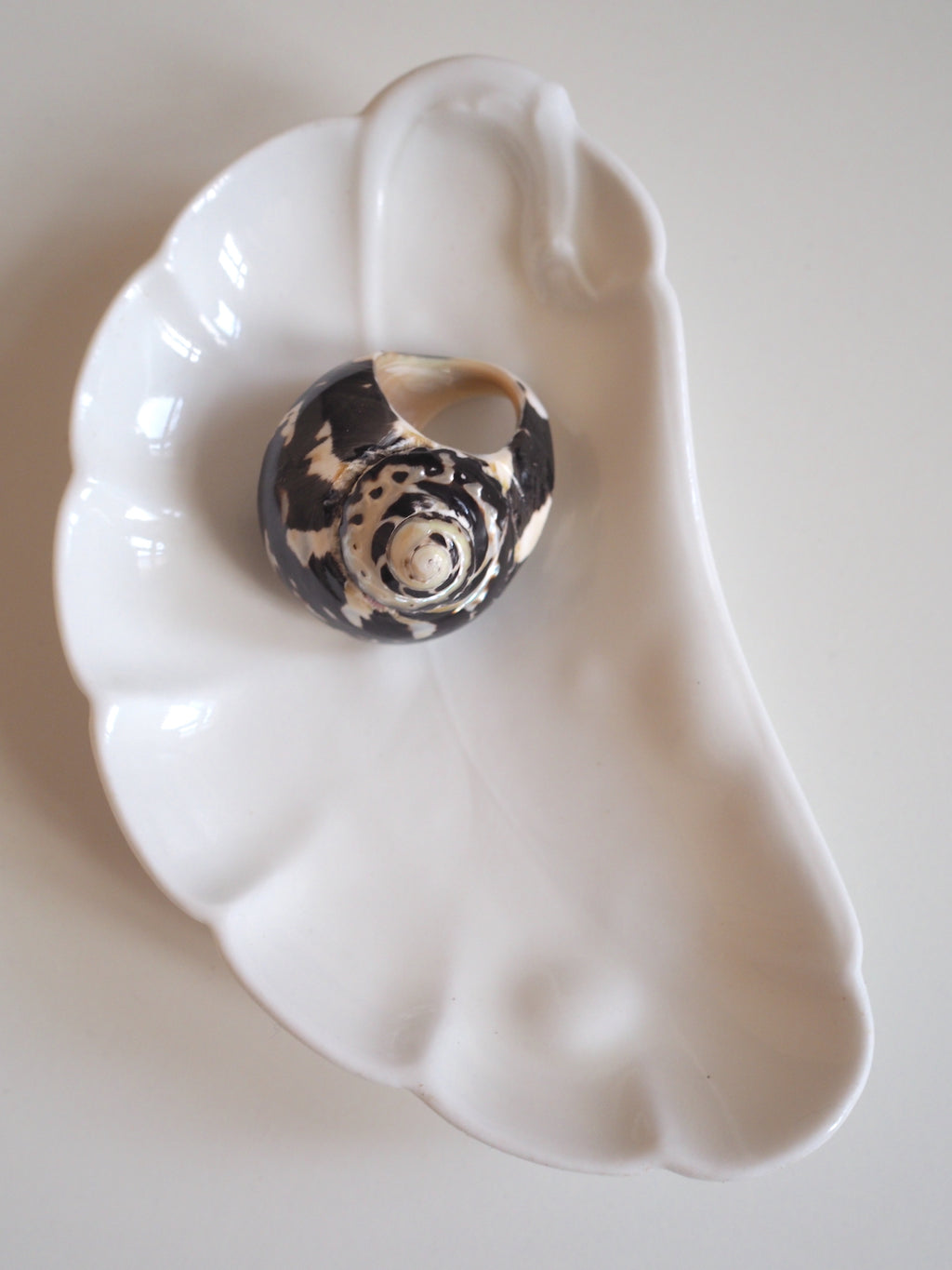 Shell Ring